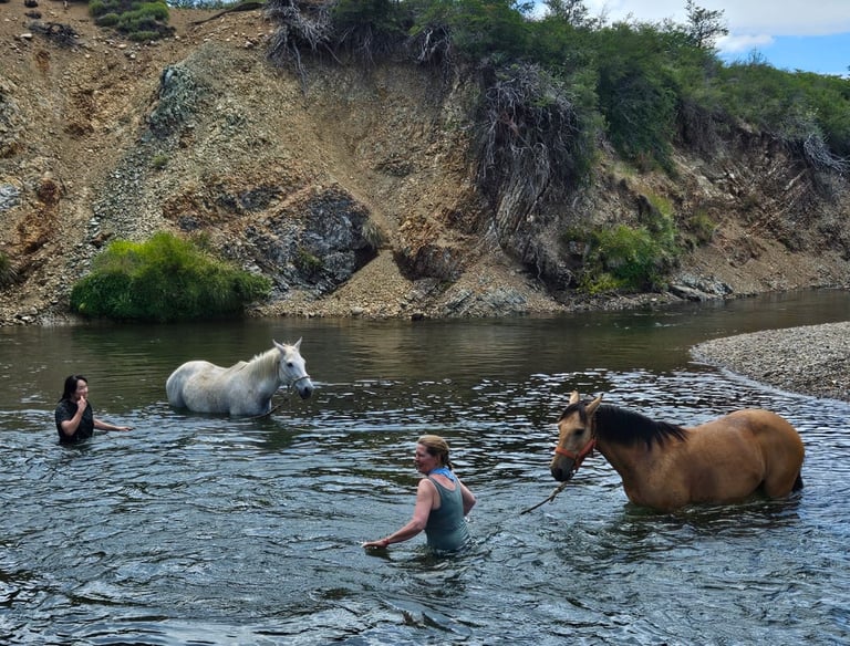 People and a horse standing in a river.