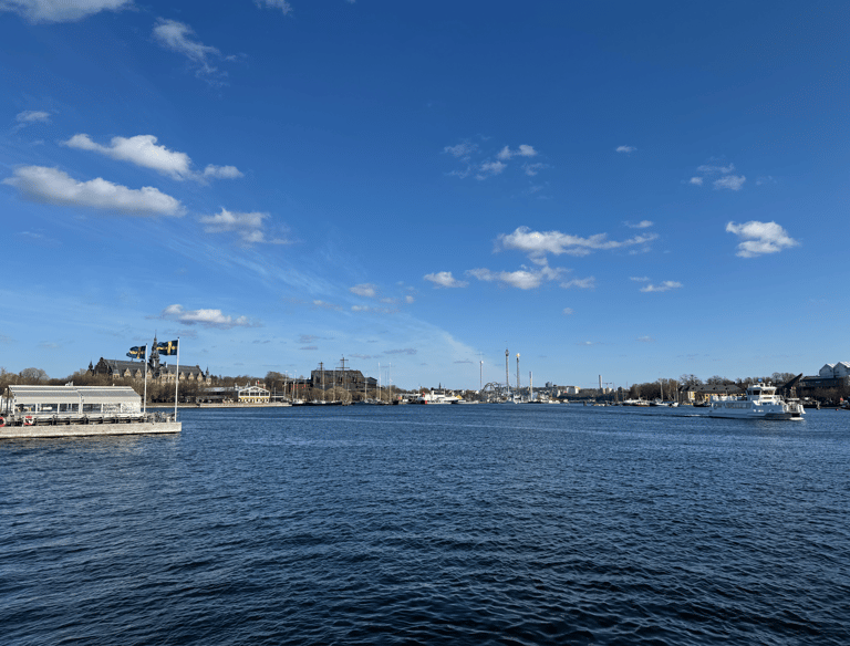 Panoramic view of Stockholm harbor with boats and the Gröna Lund amusement park under a blue sky.