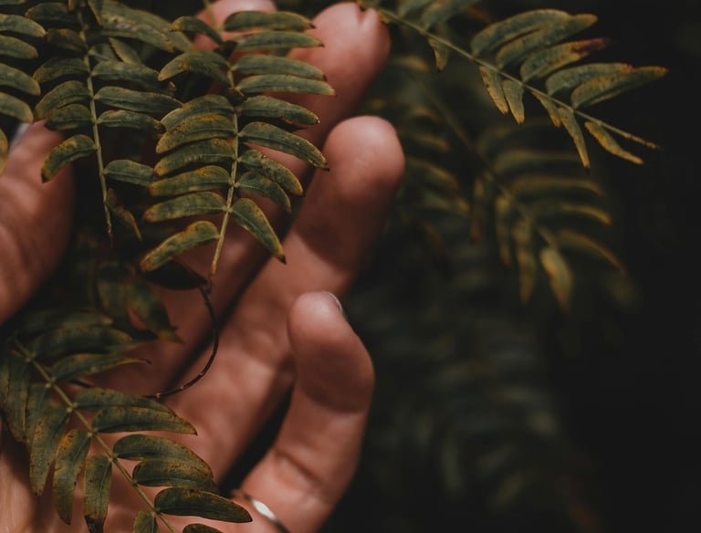 Main et plante, cérémonie "l'Ancrage", enfouissement des cendres de votre animal