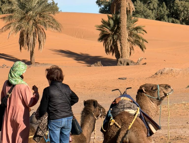 marrakech desert tours