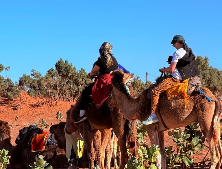 Tourists enjoying a guided camel trek through the red sand dunes of the Sahara Desert under a clear blue sky.