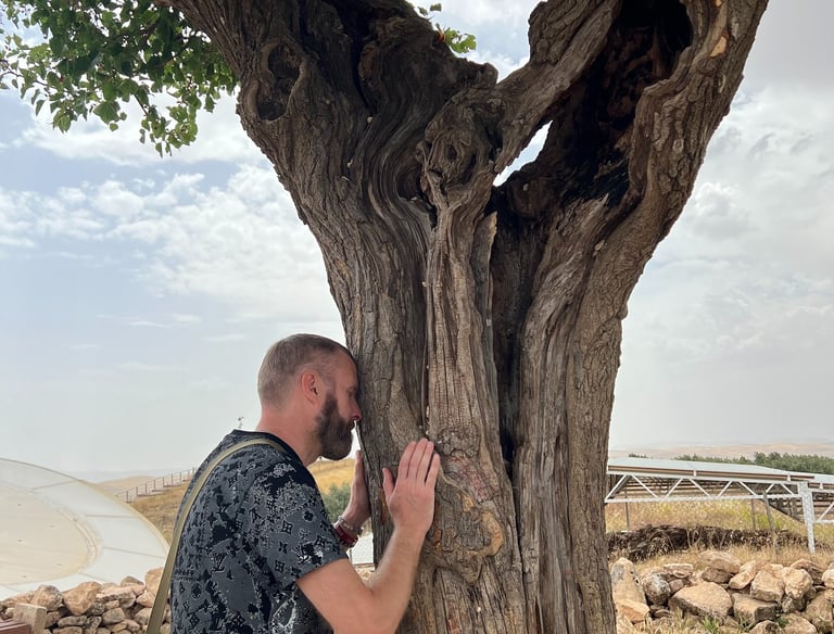 Man places forehead and palms of hands against a tree to connect