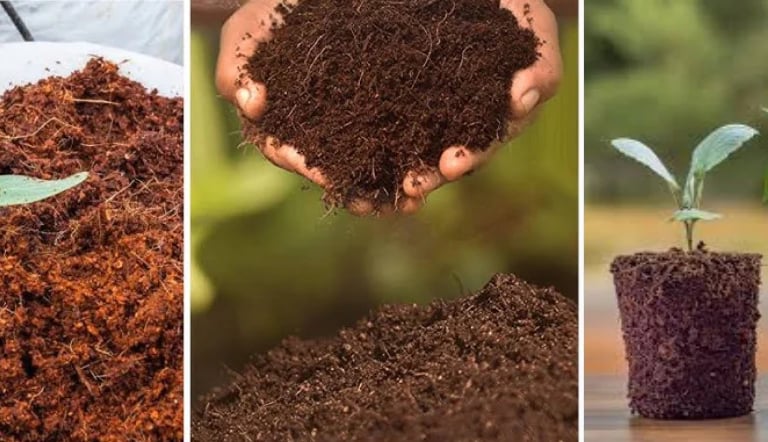 exporter of coir pith & coco peat products