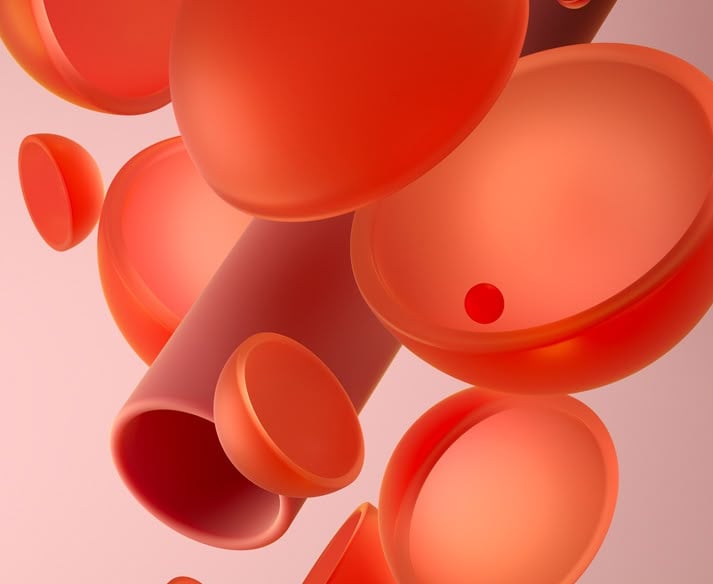 Identité visuelle Nova – formes modernes