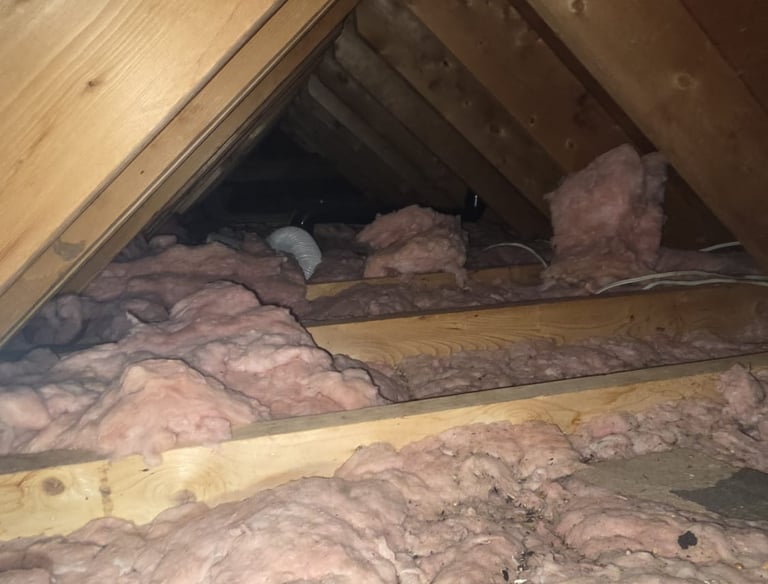 Professional wildlife exclusion inspection for a cottage in Huntsville.