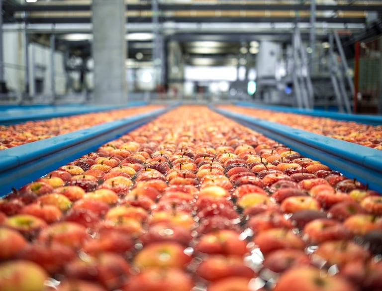 Fresh red apples floating on a water conveyor belt in a modern food processing plant.