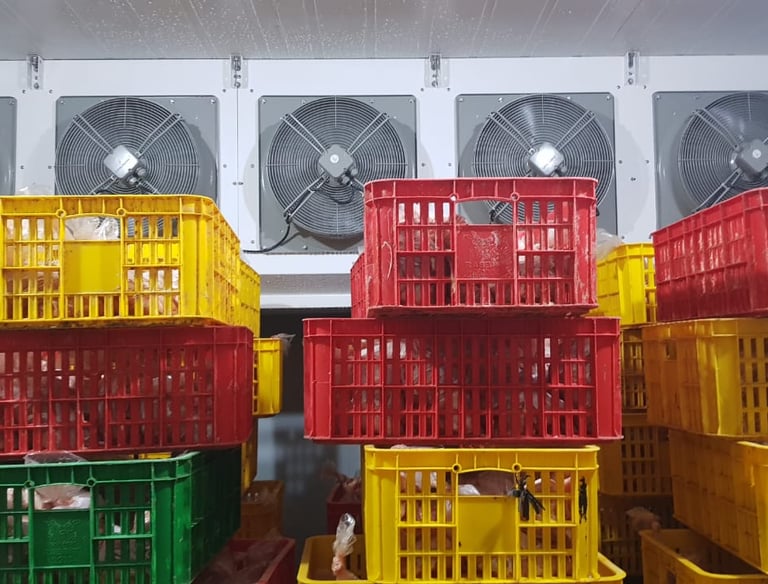 Air Blast Freezer ROCKET CHICKEN - Salatiga by CV MUDACOOL INDONESIA