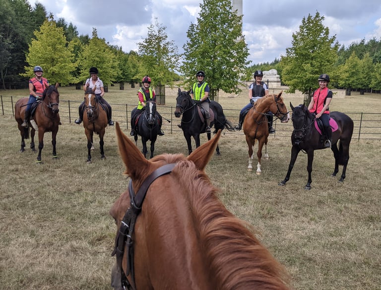 Social event at livery yard near Brackley