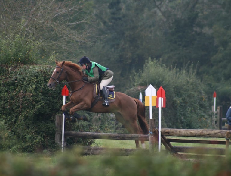 Qualified professional on site.