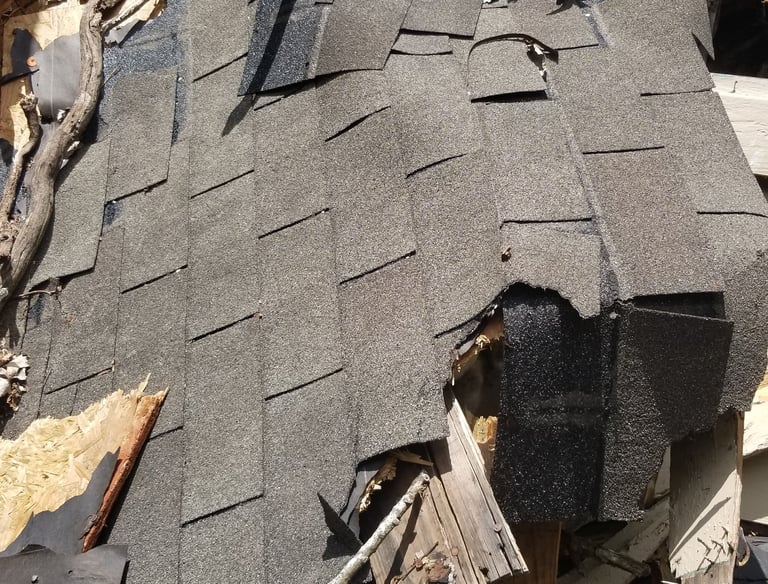 BeaSquared Home Inspections | Florida Wind Mitigation & 4-Point Specialist