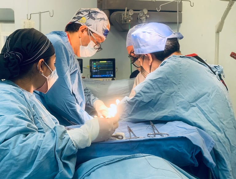 tequiav.Técnicas Quirúrgicas Avanzadas para manejo de la Hemorragias Obstétrica