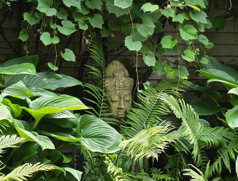 A stone Buddha head statue nestled among lush green garden ferns, hostas, and grape ivy leaves.