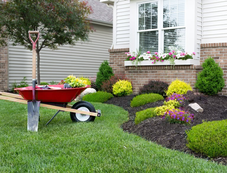 Red wheelbarrow and shovel on a green lawn by a landscaped flower bed with fresh mulch.