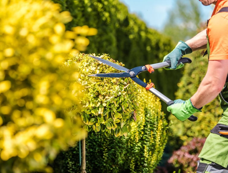 Elite Maintenance Landscaping
