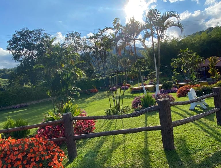 Zonas verdes para estar en tranquilidad en un hotel, lleno de flores y colores