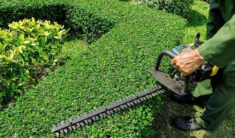 entretien des espaces verts