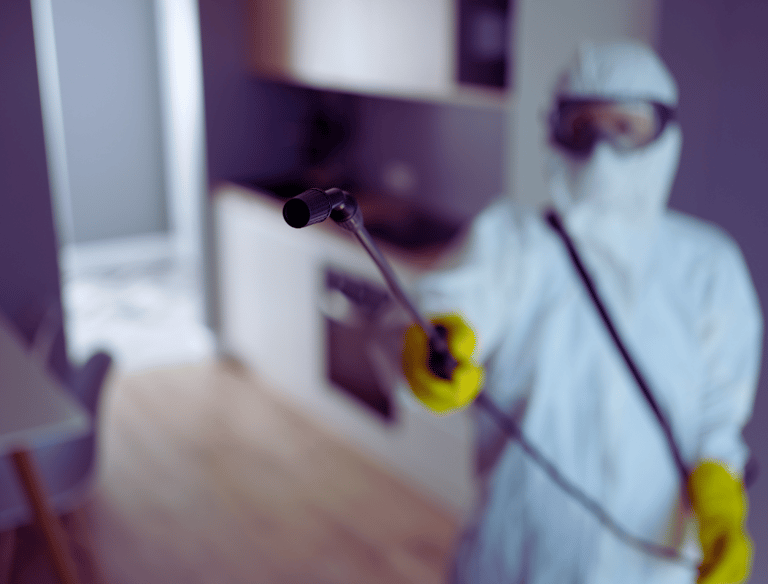 Services de nettoyage profesionnel à bruxelles et régions