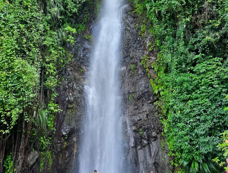 Dark View Falls