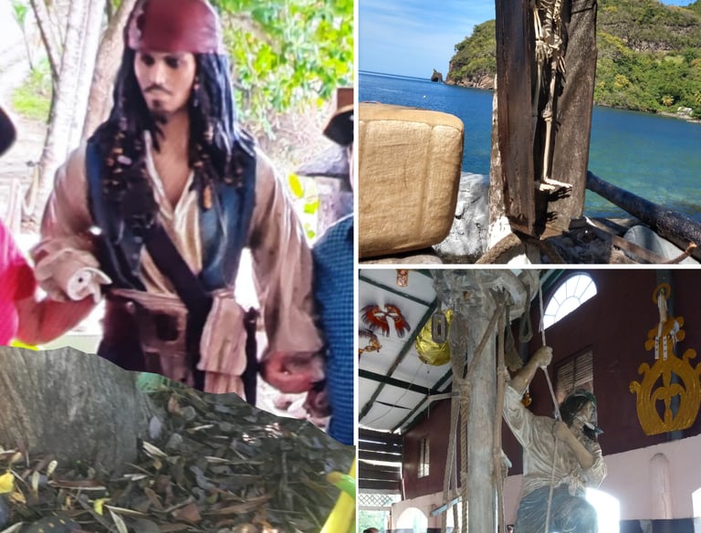 Pirates of the Caribbean Tour with Trubb Taxi Tours SVG