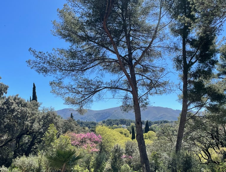 Vue panoramique Location Maison Vacances Bastide La Courlette Marseille vue panoramique avec vue