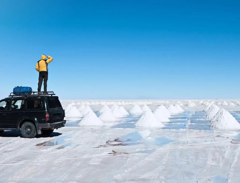 Why Ferrum Is the Preferred Brand for Salt & Chemical Processing in the Middle East