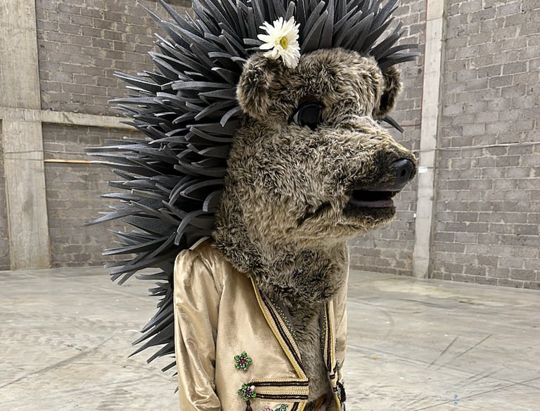 Teminė kaukė, ežiuko kostiumas, mascot apranga