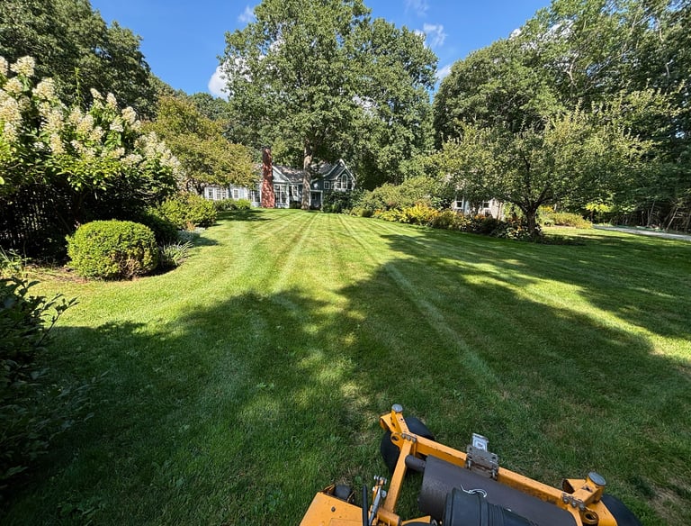 lawn-maintenance-services-north-shore-ma.jpg