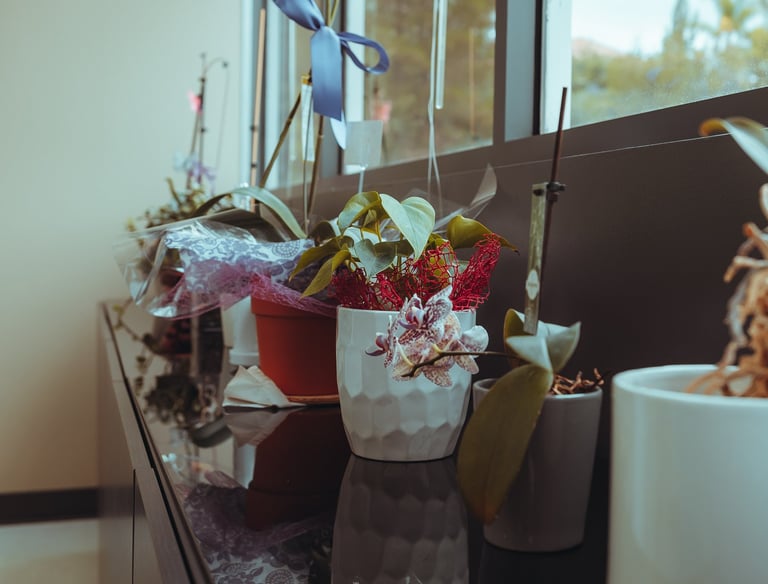 Plants in the dental office.