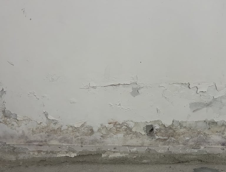 nemli ve rutubetli duvar