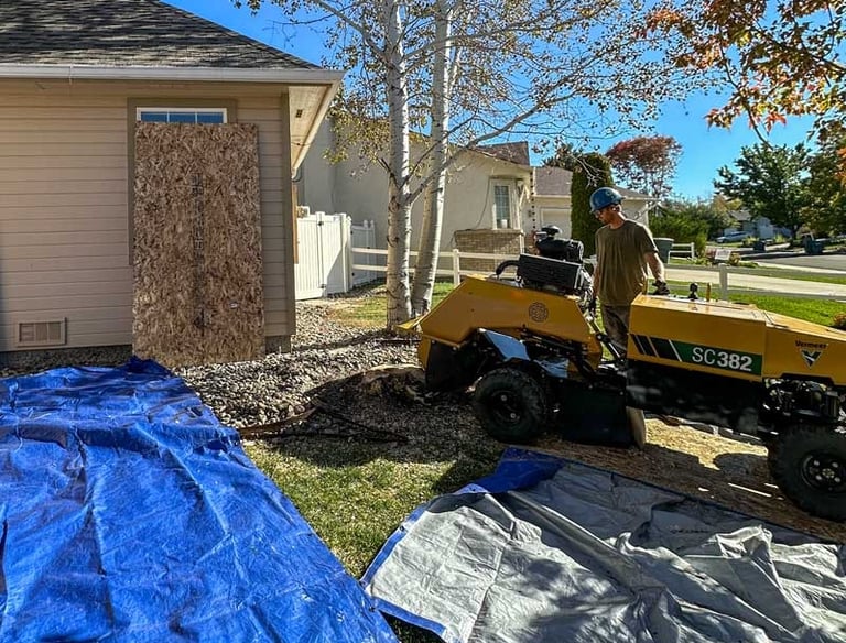 Professional stump grinding and removal services in Grand Junction, Colorado.