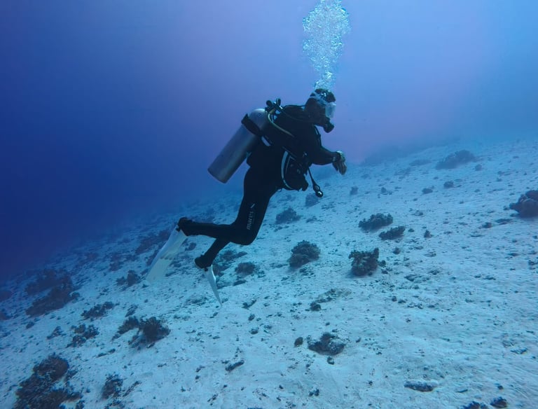 Deep Dive with captain essam "Recreational Diving"