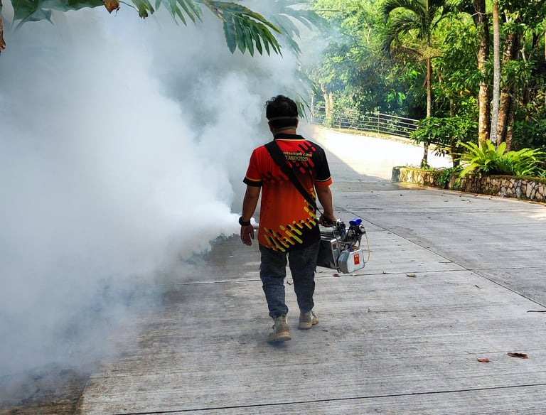Dumaguete pest control technician performing mosquito fogging with professional equipment