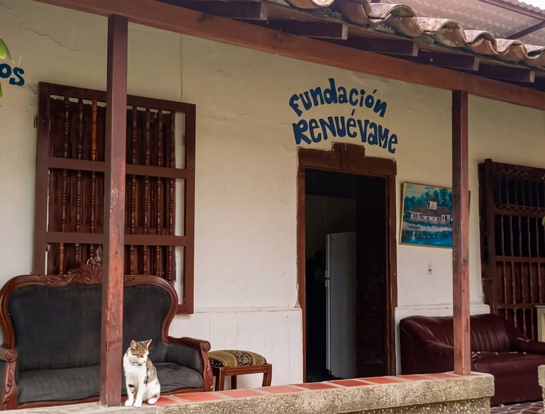 Fundación Cristiana Renuévame