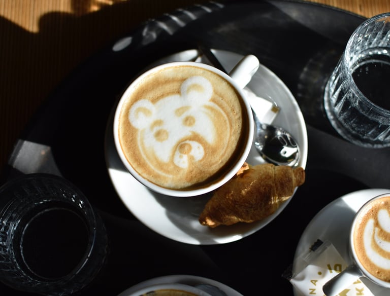 kavarna skandi domžale kava