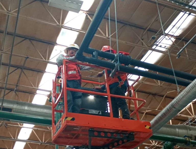 En planta haciendo mantenimiento