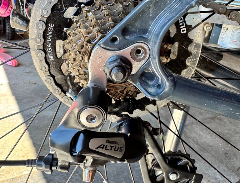 Clean Derailleur 