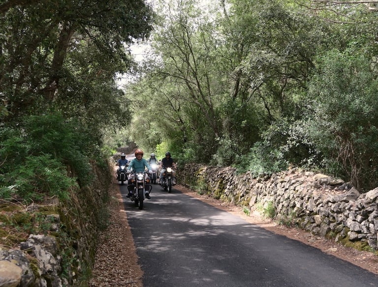 Guided motorcycle tour riding through a scenic road in Menorca