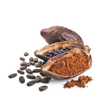 cocoa extract, botanical extract