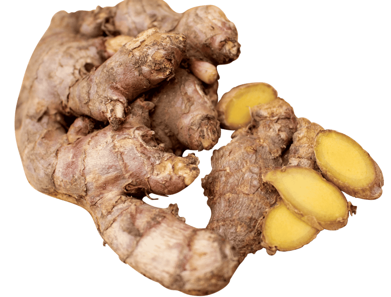 red ginger extract, botanical extract