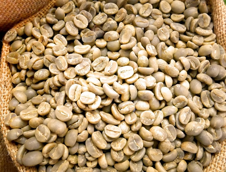 green coffee bean extracts, botanical extracts