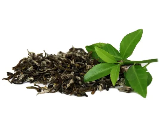 tea extract, botanical extract