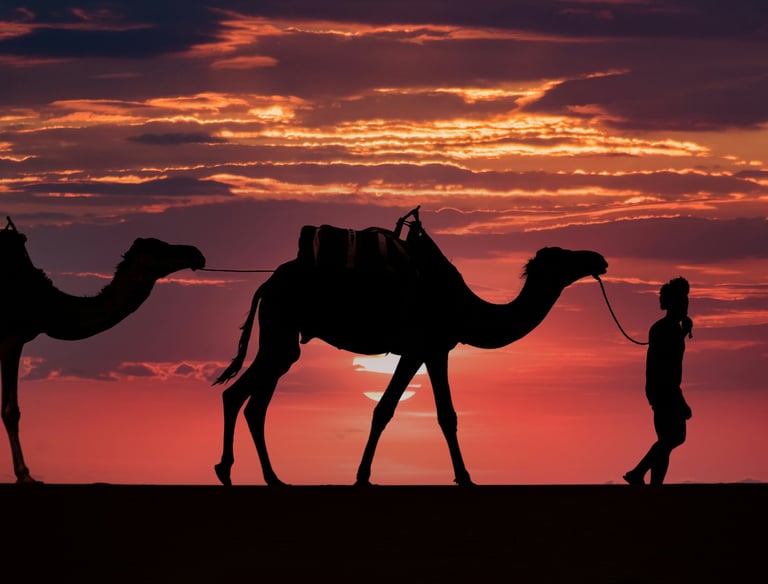 Roteiros exclusivos para brasileiros