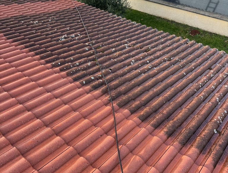 demoussage toiture lyon 