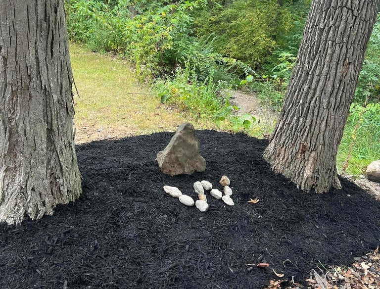 mulch-bed-between-trees.jpg