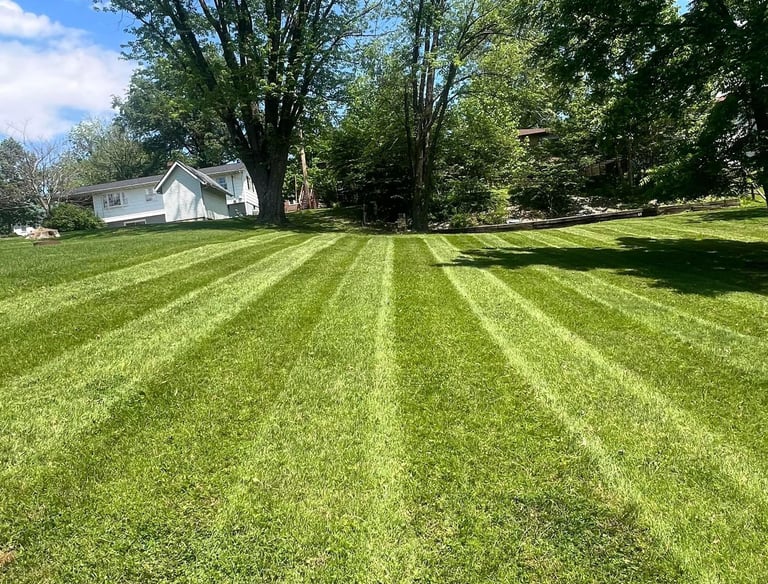lawn-stripes-by-lawn-mower.jpg
