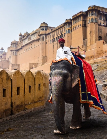 jaipur sightseeing tour