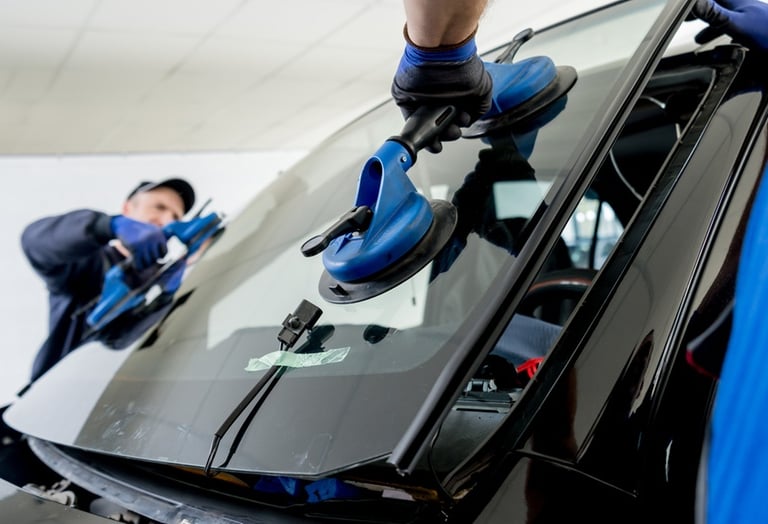 Insurance Claim Assistance