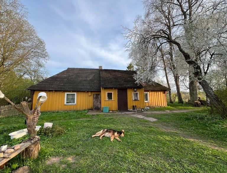 Vienos seniausios sodybos Lietuvoje pagrindinio namo nuotrauka