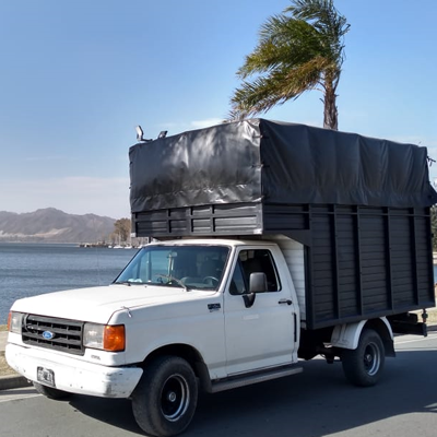 Transporte de mudanza mediano