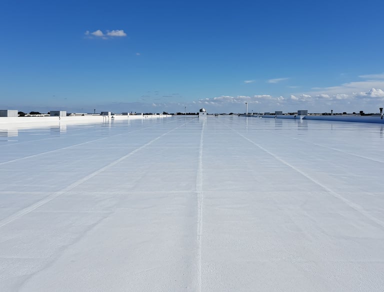 TPO Roof